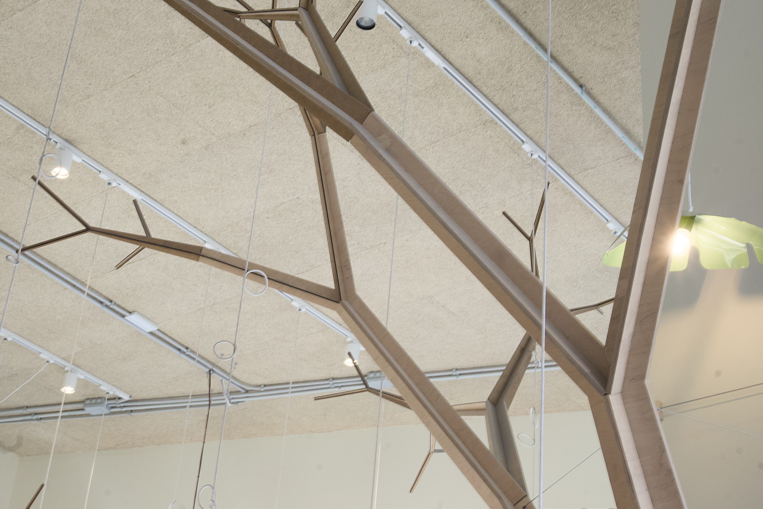 Árboles de madera - objetos esculturales geométricos
