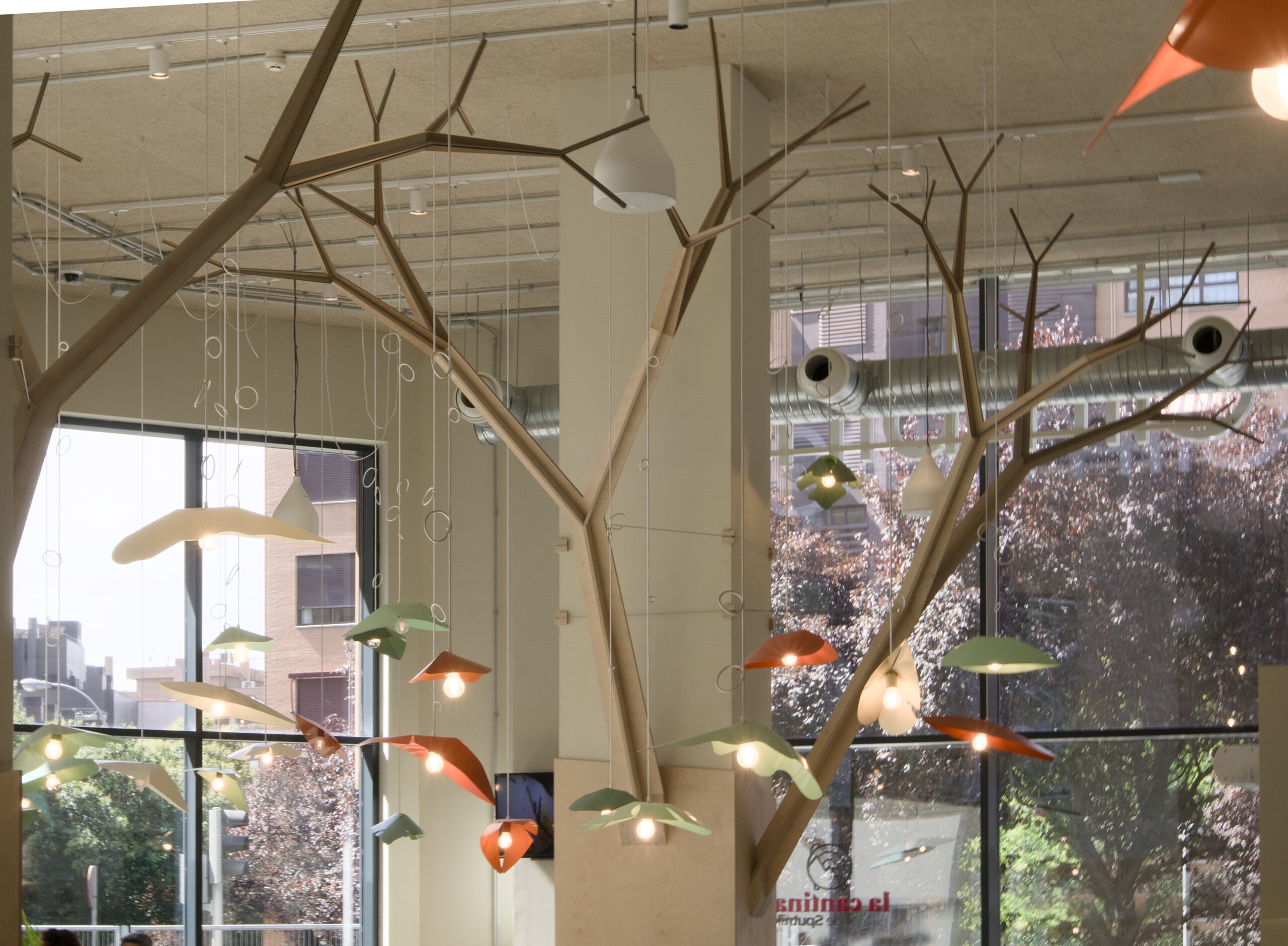 Árboles de madera - objetos esculturales geométricos